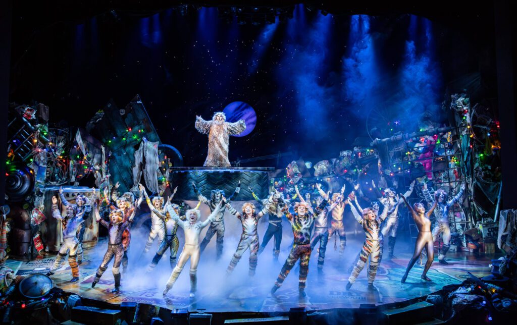 Cast of CATS, Sydney Theatre Royal (2025). Image: Daniel Boud