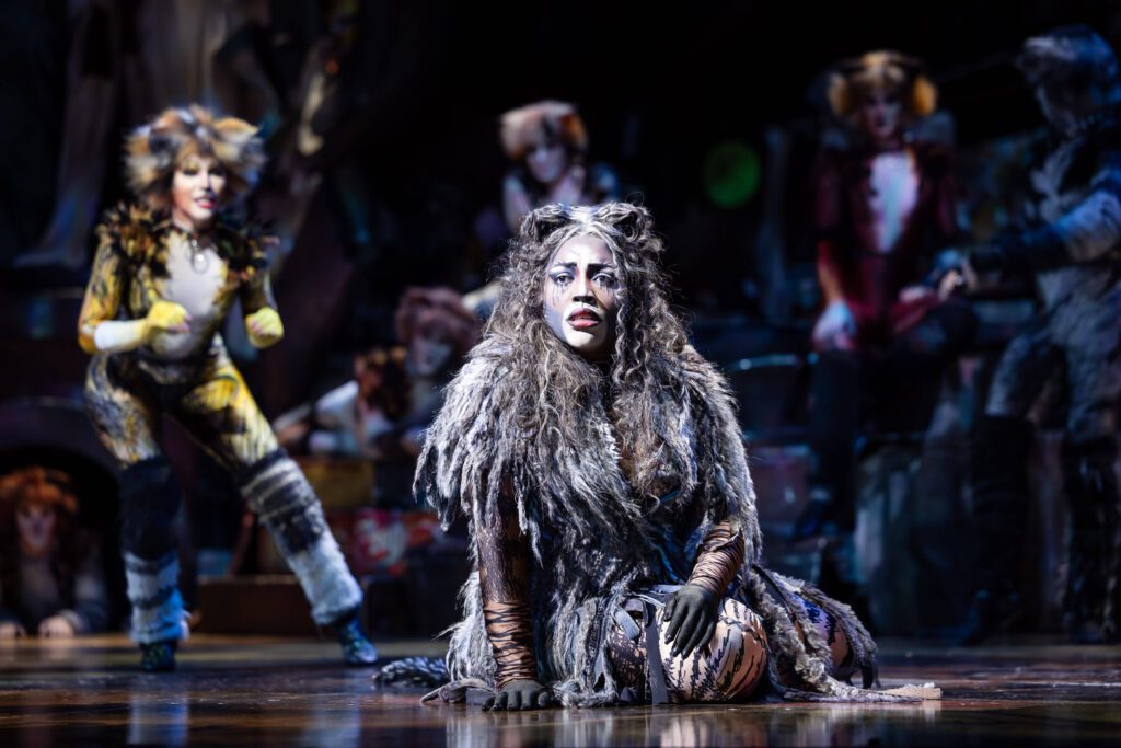 Gabriyel Thomas in CATS. Image: Daniel Boud