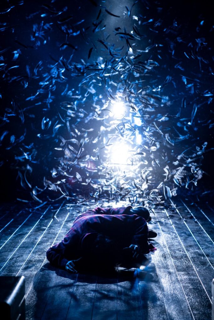 Grief Is The Thing With Feathers, Belvoir St (2025). Image: Brett Boardman