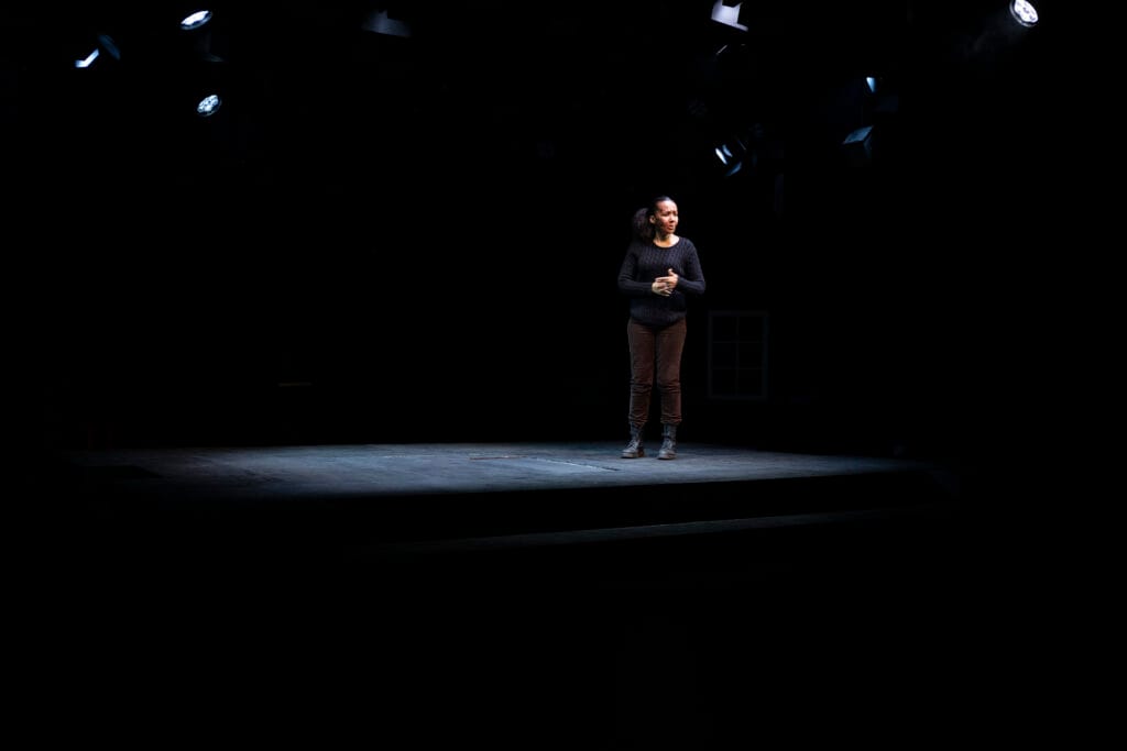 The Birds, Belvoir St (2026). Photo: Brett Boardman