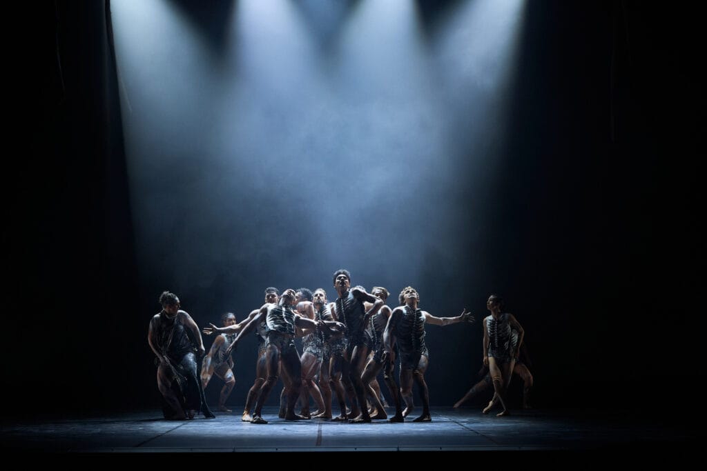 Sheltering - Sheoak, Bangarra Dance Company (2026). Image: Daniel Boud